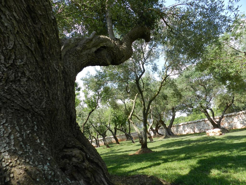 I Trulli Del Nonno Michele Guest House Alberobello Exterior photo